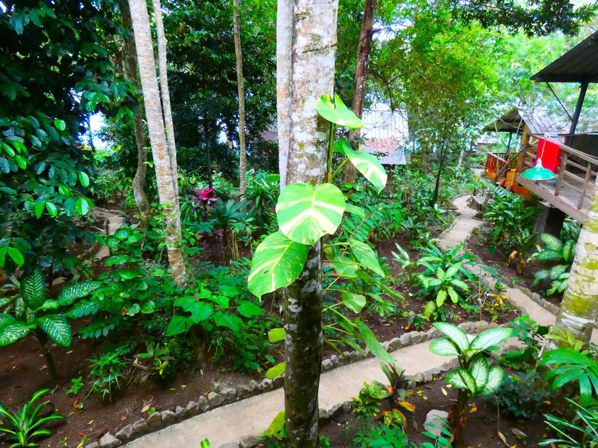 Santi Garden Bungalows Iboih Bagian luar foto