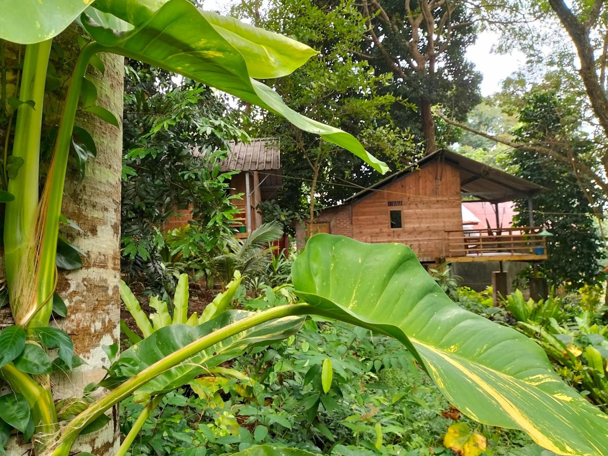 Santi Garden Bungalows Iboih Bagian luar foto