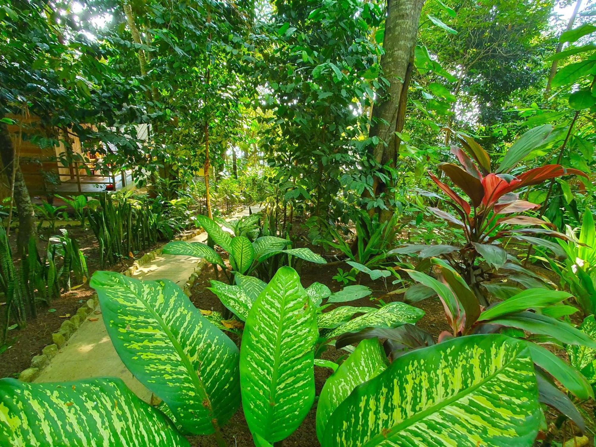 Santi Garden Bungalows Iboih Bagian luar foto